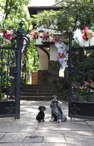 スクリーンショット 2014-04-03 20.08.41